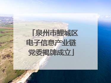 泉州市鲤城区电子信息产业链党委揭牌成立