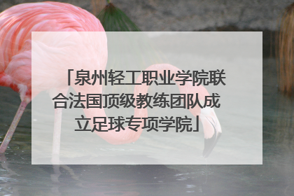 泉州轻工职业学院联合法国顶级教练团队成立足球专项学院