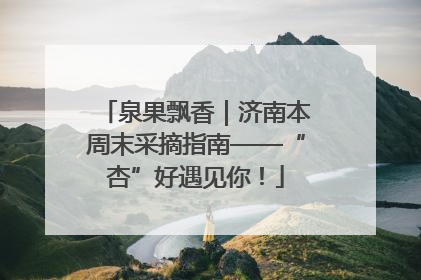 泉果飘香｜济南本周末采摘指南——“杏”好遇见你！