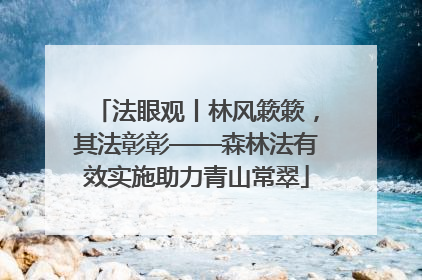法眼观丨林风簌簌，其法彰彰——森林法有效实施助力青山常翠