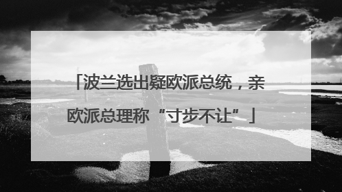 波兰选出疑欧派总统，亲欧派总理称“寸步不让”