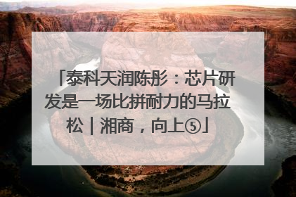 泰科天润陈彤：芯片研发是一场比拼耐力的马拉松｜湘商，向上⑤