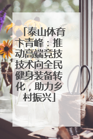 泰山体育卞青峰：推动高端竞技技术向全民健身装备转化，助力乡村振兴