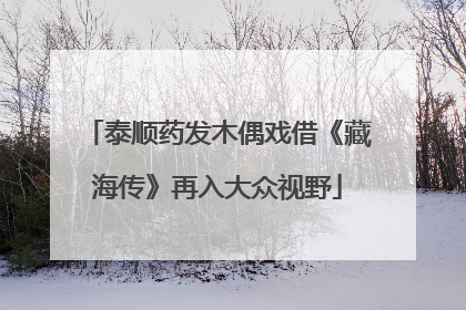 泰顺药发木偶戏借《藏海传》再入大众视野