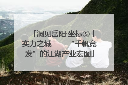 洞见岳阳·坐标⑤丨实力之城——“千帆竞发”的江湖产业宏图