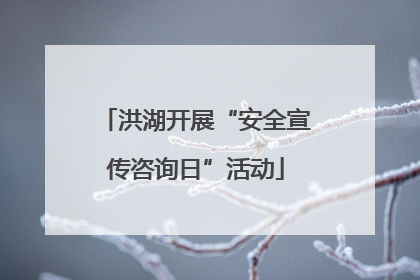 洪湖开展“安全宣传咨询日”活动