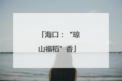 海口：“琼山福稻”香