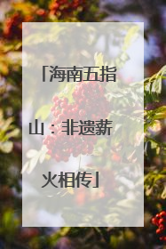 海南五指山：非遗薪火相传