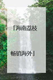 海南荔枝畅销海外