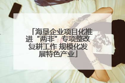 海垦企业项目化推进“两非”专项整改复耕工作 规模化发展特色产业