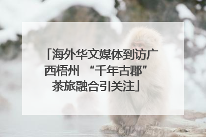 海外华文媒体到访广西梧州 “千年古郡”茶旅融合引关注