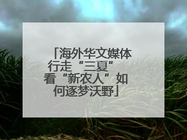 海外华文媒体行走“三夏” 看“新农人”如何逐梦沃野