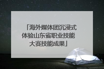 海外媒体团沉浸式体验山东省职业技能大赛技能成果