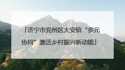 济宁市兖州区大安镇“多元协同”激活乡村振兴新动能