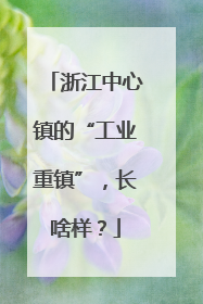 浙江中心镇的“工业重镇”，长啥样？
