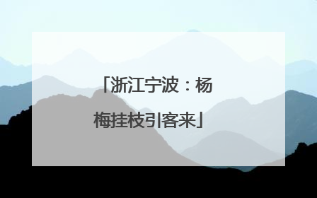 浙江宁波：杨梅挂枝引客来