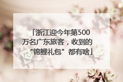 浙江迎今年第500万名广东旅客，收到的“锦鲤礼包”都有啥