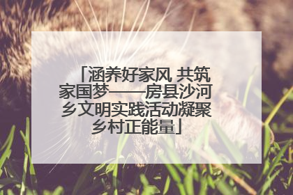 涵养好家风 共筑家国梦——房县沙河乡文明实践活动凝聚乡村正能量