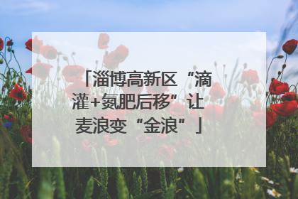 淄博高新区“滴灌+氮肥后移”让麦浪变“金浪”