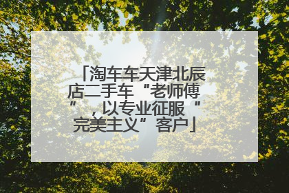 淘车车天津北辰店二手车“老师傅”，以专业征服“完美主义”客户