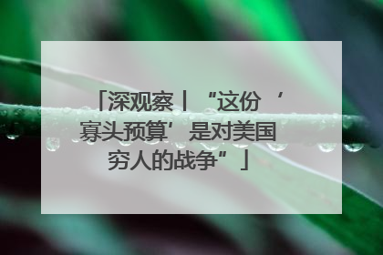 深观察丨“这份‘寡头预算’是对美国穷人的战争”