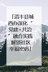 清丰县城西办深化“党建+共治”融合实践 解锁社区幸福密码