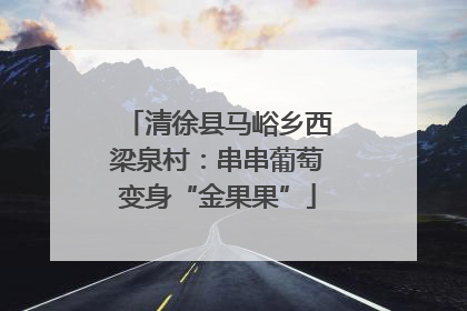 清徐县马峪乡西梁泉村：串串葡萄变身“金果果”