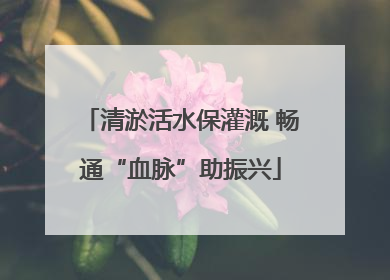 清淤活水保灌溉 畅通“血脉”助振兴