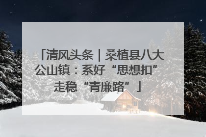 清风头条｜桑植县八大公山镇：系好“思想扣” 走稳“青廉路”