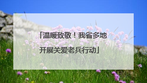 温暖致敬！我省多地开展关爱老兵行动