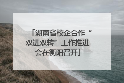 湖南省校企合作“双进双转”工作推进会在衡阳召开
