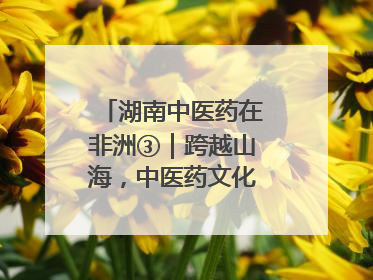湖南中医药在非洲③｜跨越山海，中医药文化浸润非洲