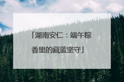 湖南安仁：端午粽香里的藏蓝坚守