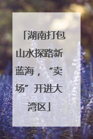 湖南打包山水探路新蓝海，“卖场”开进大湾区
