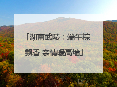 湖南武陵：端午粽飘香 亲情暖高墙