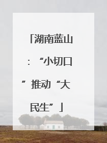 湖南蓝山：“小切口”推动“大民生”