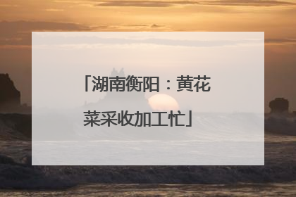 湖南衡阳：黄花菜采收加工忙