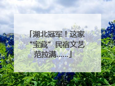 湖北冠军！这家“宝藏”民宿文艺范拉满……