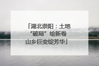 湖北崇阳：土地“破局”绘新卷 山乡巨变绽芳华