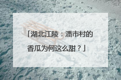 湖北江陵：潘市村的香瓜为何这么甜？