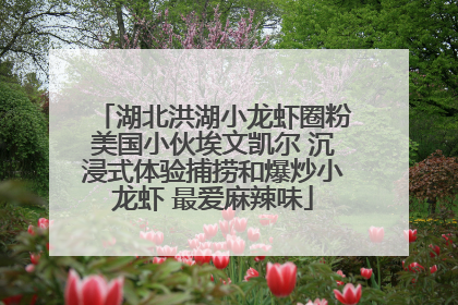 湖北洪湖小龙虾圈粉美国小伙埃文凯尔 沉浸式体验捕捞和爆炒小龙虾 最爱麻辣味