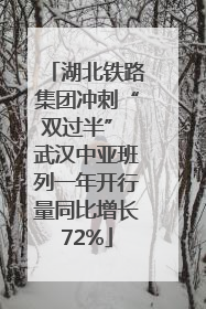 湖北铁路集团冲刺“双过半” 武汉中亚班列一年开行量同比增长72%