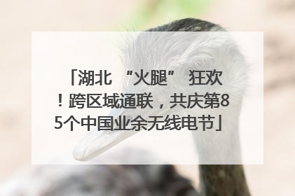 湖北 “火腿” 狂欢！跨区域通联，共庆第85个中国业余无线电节