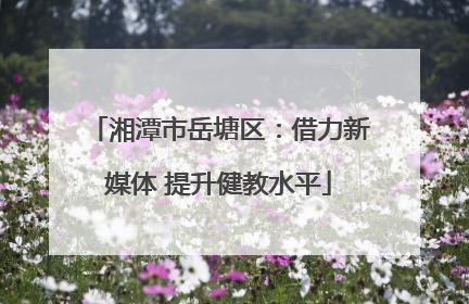 湘潭市岳塘区：借力新媒体 提升健教水平