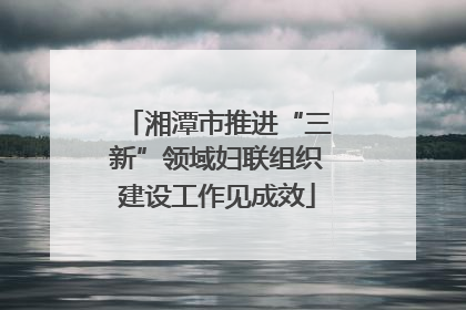 湘潭市推进“三新”领域妇联组织建设工作见成效