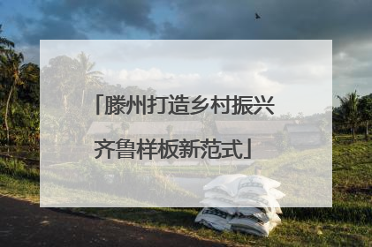 滕州打造乡村振兴齐鲁样板新范式