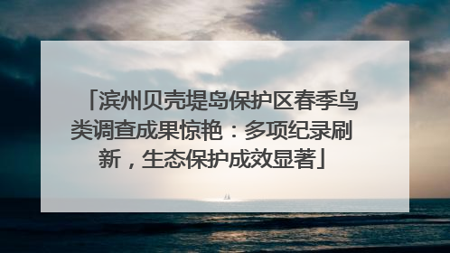 滨州贝壳堤岛保护区春季鸟类调查成果惊艳：多项纪录刷新，生态保护成效显著