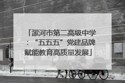 漯河市第二高级中学：“五五五”党建品牌赋能教育高质量发展