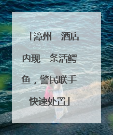 漳州一酒店内现一条活鳄鱼，警民联手快速处置