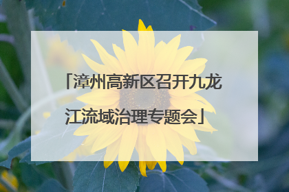 漳州高新区召开九龙江流域治理专题会